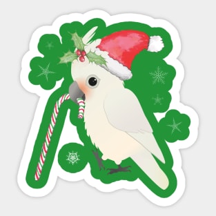 A cute Christmas goffin cockatoo Sticker